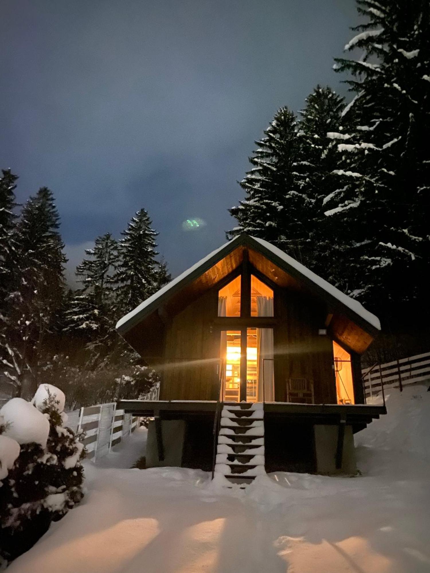 Bramble Tiny House Villa Zărneşti Exteriör bild